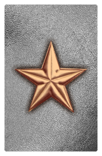 DF35T 430 CP SL Star Copper Silver